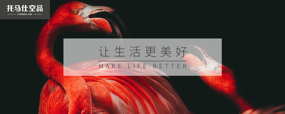 新風系統